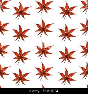 Nahtloses Muster mit japanischen Ahornherbstblättern isoliert auf weißem Hintergrund, handgezeichnete Aquarellillustration. Für Hintergrund, Stoff, Textil Stockfoto