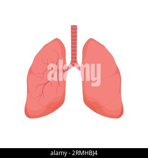 Gesunde Lunge - menschliches internes Organ. Symbol für das Atemsystem. Anatomie, Medizinkonzept. Gesundheitswesen. Vektorillustration isoliert auf weißem Hintergrund Stock Vektor