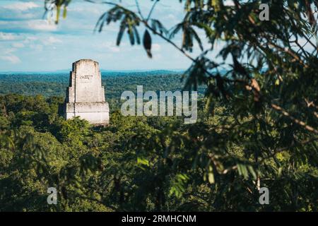 Der Blick auf den Tempel III, der über dem Wald im archäologischen Park Tikal in Guatemala aufsteigt. Einst eine antike Maya-Stadt. Stockfoto