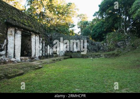 Eingangstüren und Mauern am Palast der Rillen, Teil des Tikal archäologischen Parks, einer ehemaligen antiken Maya-Stadt im heutigen Guatemala Stockfoto