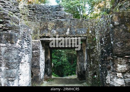 Eingangstüren und Mauern am Palast der Rillen, Teil des Tikal archäologischen Parks, einer ehemaligen antiken Maya-Stadt im heutigen Guatemala Stockfoto