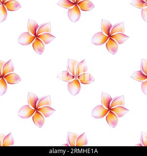 Nahtloses Aquarellmuster mit realistischer tropischer Illustration von Plumerieblumen mit Blättern isoliert auf weißem Hintergrund. Wunderschöner botanischer han Stockfoto