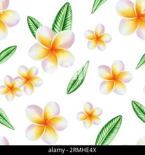 Nahtloses Aquarellmuster mit realistischer tropischer Illustration von Plumerieblumen mit Blättern isoliert auf weißem Hintergrund. Wunderschöner botanischer han Stockfoto