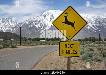 Lieber Überquerung nächste 5 Meilen Warnschild entlang einer Landstraße im Owens Valley von Kalifornien Stockfoto