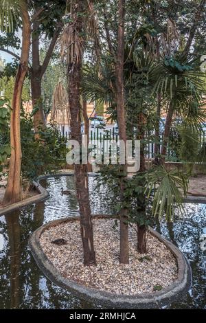 Städtischer Zoo von Guadalajara, Jahr 1985. Gründungsmitglied von AIZA, Iberische Vereinigung der Zoos und Aquarien, bestehend aus Zoos in Spanien und Portugal. Stockfoto