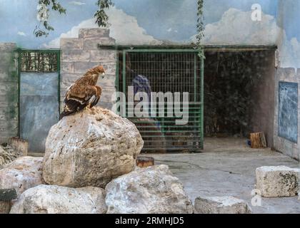 Städtischer Zoo von Guadalajara, Jahr 1985. Gründungsmitglied von AIZA, Iberische Vereinigung der Zoos und Aquarien, bestehend aus Zoos in Spanien und Portugal. Stockfoto