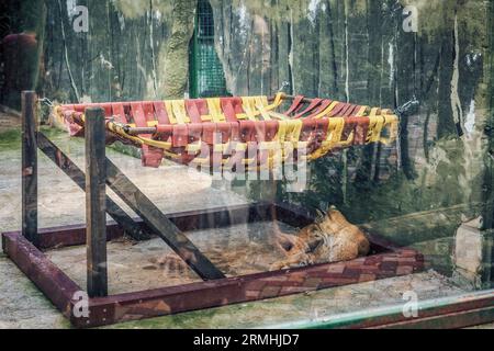 Städtischer Zoo von Guadalajara, Jahr 1985. Gründungsmitglied von AIZA, Iberische Vereinigung der Zoos und Aquarien, bestehend aus Zoos in Spanien und Portugal. Stockfoto