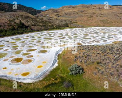 Spotted Lake ist ein salzhalsider endorheischer Alkali-See nordwestlich von Osoyoos im östlichen Similkameen Valley von British Columbia, Kanada, Stockfoto