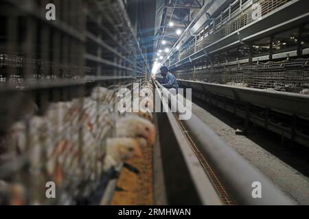 LUANNAN COUNTY, Provinz Hebei, China - 17. März 2020: Die Arbeiter laden Futtermittel in eine Verarbeitungsanlage. Stockfoto