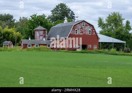 Eine alte rote Scheune mit Nebengebäuden, die über ein grünes Gras blicken. Stockfoto