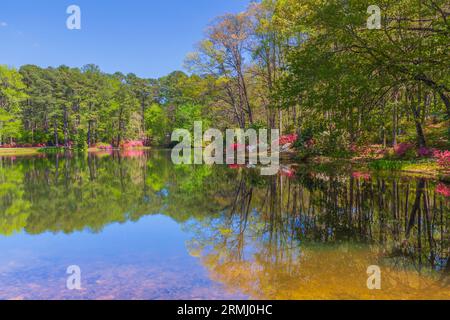 Gartenszene im Azalea Overlook Garden in Callaway Gardens in Pine Mountain, Georgia. Stockfoto