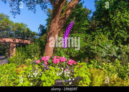 Gartenszene mit Hortensien und Larkspur in den Bellingrath Gardens bei Moblie, Alabama im Frühjahr. Stockfoto