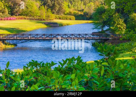 Die Gartenszene am Mirror Lake in den Bellingrath Gardens in der Nähe von Moblie, Alabama, beginnt im Frühjahr. Stockfoto