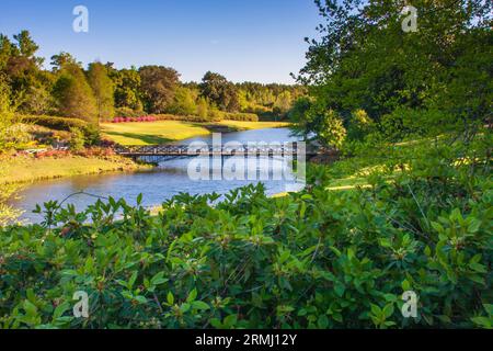 Die Gartenszene am Mirror Lake in den Bellingrath Gardens in der Nähe von Moblie, Alabama, beginnt im Frühjahr. Stockfoto