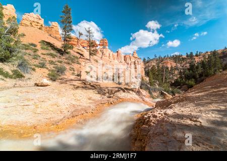 Der Wasserstrom bewegt sich in einem Tal, das von Hoodoos in der Nähe des Bryce Canyon National Park umgeben ist Stockfoto