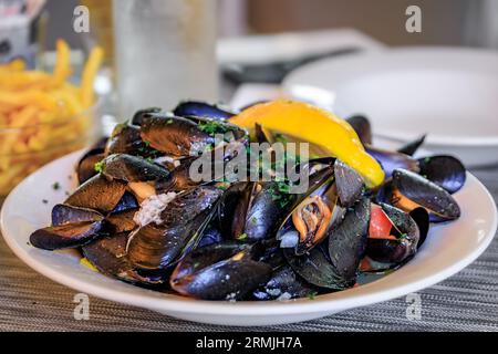 Frisch gekochte Muscheln in Weißweinsauce oder Moules marinieres auf einem Teller in einem Restaurant in der Altstadt von Menton, französische Riviera, Südfrankreich Stockfoto