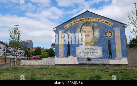 Nordirland, Belfast: Wandgemälde in der Shankill Road, das den Soldaten aus der Gegend Tribut zollt, die in der Troubles-Ära starben (William Bucky Mc Cullough) Stockfoto