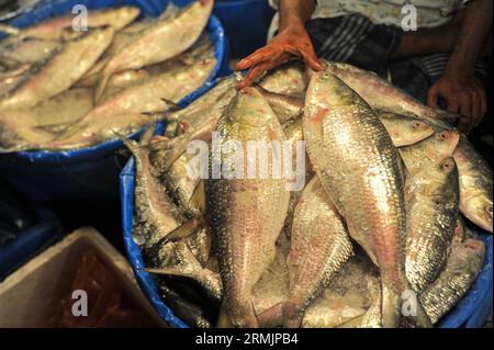 Die Menschen kaufen Hilsa-Fisch auf dem Lalbazar-Fischmarkt in Sylhet. Obwohl in letzter Zeit in den Flussmündungen und Meeren eine große Menge HILSA-Fisch von Fischern gefangen wurde, wird HILSA-Fisch immer noch zu hohen Preisen von 1500-2000 Taka pro kg verkauft. Man fragt sich, warum der Nationalfisch von Bangladesch, der ganz natürlich angebaut wird, so teuer ist. Sylhet, Bangladesch. Stockfoto