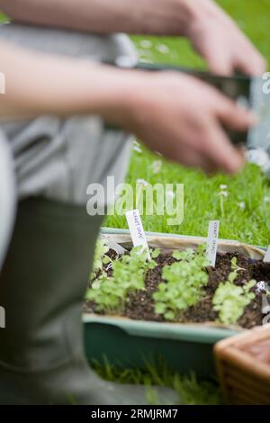 Nahaufnahme eines Mädchens Hand und Fuß Gartenarbeit Stockfoto