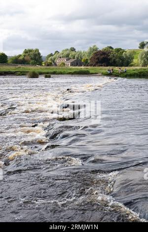 Linton Stepping Stones überquert die River Wharfe und führt zur St. Michael und All Angels Church - unpassierbar, da der Fluss hoch ist, Linton, Skipton, England Stockfoto