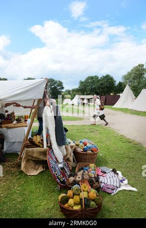 Das Trelleborgs Viking Festival in Slagelse, Neuseeland, Dänemark. Stockfoto