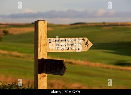 Flamborough Head, East Yorkshire, England, Vereinigtes Königreich Stockfoto