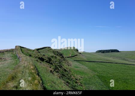 Hadrian's Wall, Fort Vercovicium oder Borcovicium, Thorngrafton, Bardon Mill, England, Großbritannien Stockfoto