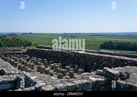 Hadrian's Wall, Fort Vercovicium oder Borcovicium, Grindon, Bardon Mill, England, Großbritannien Stockfoto