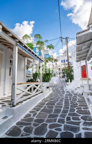 Weiße kykladische Häuser mit bunten Türen und Fensterläden, Gassen der Altstadt von Chora, Mykonos, Mykonos, Kykladen Stockfoto