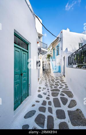 Weiße kykladische Häuser mit bunten Türen und Fensterläden, Gassen der Altstadt von Chora, Mykonos, Mykonos, Kykladen Stockfoto