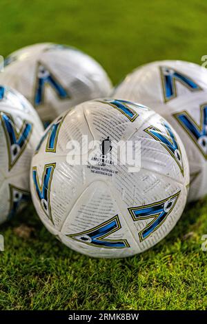 Sunshine North, Australien. 29 {Monatsname}, 2023. Der Fußballtag des Australia Cup Credit: James Forrester/Alamy Live News Stockfoto