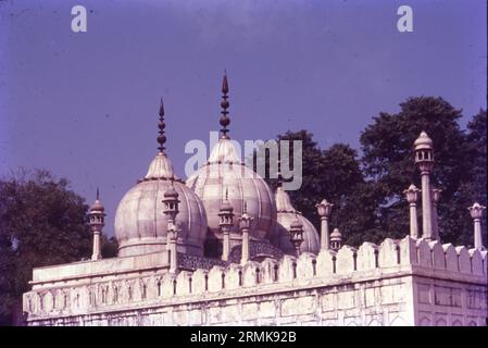 Die Moti Masjid ist eine weiße Marmormoschee im Red Fort Complex in Delhi, Indien. Westlich des Hammam und in der Nähe der Diwan-i-Khas gelegen, wurde es von dem Mogulkaiser Aurangzeb von 1659 bis 1660 erbaut. Stockfoto