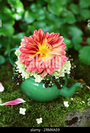 Blumenarrangement mit roter, gelber Dahlie, weißer Hortensienblüte und schwarzen Holunderbeeren in einer rustikalen grünen Emailleteekanne mit Gartendekoration Stockfoto