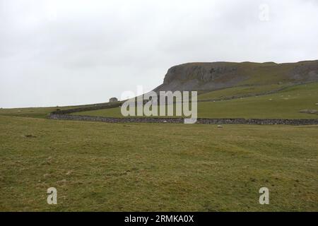 „Robin Proctor's Scar“ ein Kalkfelsen in der Nähe von Austwick im Yorkshire Dales National Park, England, Großbritannien. Stockfoto