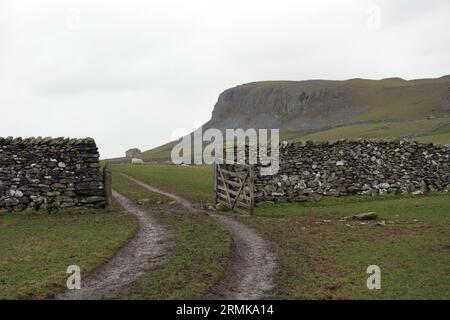 „Robin Proctor's Scar“ ein Kalkfelsen in der Nähe von Austwick im Yorkshire Dales National Park, England, Großbritannien. Stockfoto