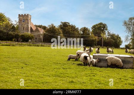 Blick über Felder zur Kirche St. Nikolaus in Boughton Malherbe Kent Stockfoto