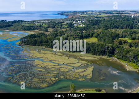 Luftaufnahme der Flussmündung La Ria bei Flut, Le Conquet, Département Finistere Pen AR Bed, Region Bretagne Breizh, Frankreich Stockfoto