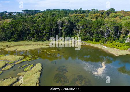 Luftaufnahme der Flussmündung La Ria bei Flut, Le Conquet, Département Finistere Pen AR Bed, Region Bretagne Breizh, Frankreich Stockfoto