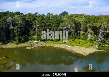 Luftaufnahme der Flussmündung La Ria bei Flut, Le Conquet, Département Finistere Pen AR Bed, Region Bretagne Breizh, Frankreich Stockfoto