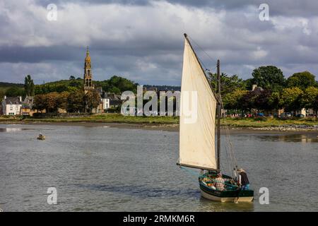 Parade alter Segelboote im Rade de Brest, Hafen von Le Faou, Département Finistere Penn-AR-Bed, Region Bretagne Breizh, Frankreich Stockfoto