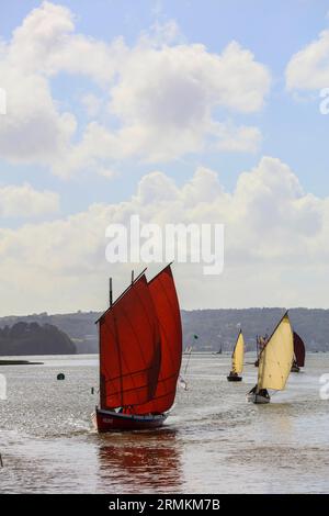 Parade alter Segelboote im Rade de Brest, Hafen von Le Faou, Département Finistere Penn-AR-Bed, Region Bretagne Breizh, Frankreich Stockfoto