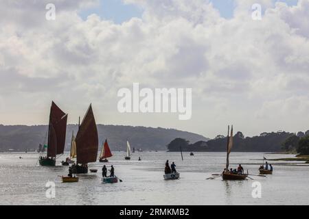 Parade alter Segelboote im Rade de Brest, Hafen von Le Faou, Département Finistere Penn-AR-Bed, Region Bretagne Breizh, Frankreich Stockfoto