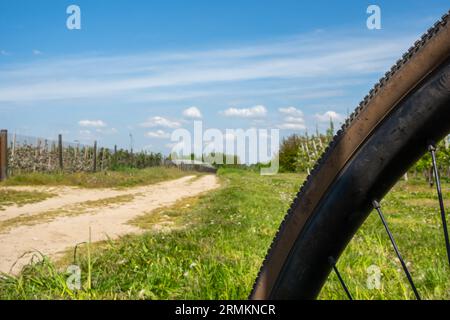 Felge und Reifen eines Schotterrades auf einer unbefestigten, sandigen Straße im Hintergrund. Foto an einem sonnigen Tag. Stockfoto