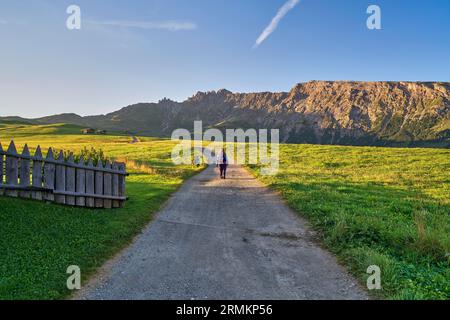 Wandern auf der Seiser Alm, am frühen Morgen, Dolomiten, Südtirol Stockfoto