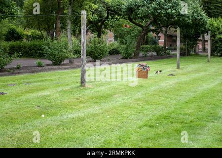 Wäschekorb und Katze auf einer Wiese Stockfoto