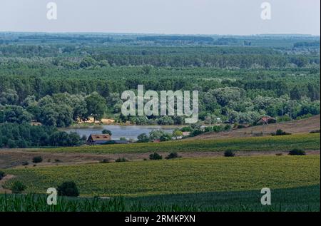 Landschaft am St. George Branch, dem südlichen Arm der Donau im Donaudelta. Tulcea, Rumänien, Südosteuropa Stockfoto