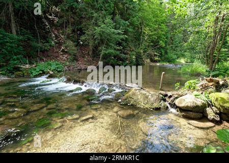 Der Revuca-Gebirgsbach im Nationalpark der Niederen Tatra. Revuca-Tal, Liptovska Osada, Zilinsky-Kraj, Slowakei Stockfoto