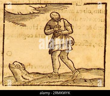 Ioannis Pierii Valeriani Bellunensis hieroglyphica Stockfoto