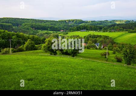 Grüne Weide, Bauernhof, Holz, Wiese und Baum in der Nähe von Stadt Zlin am Ende des schönen Tages, Frühling, Tschechische republik. Stockfoto