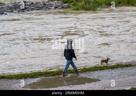 München, Deutschland. 29. August 2023. Ein Wanderer mit einem Hund spaziert entlang des Ufers der überfluteten Isar, die durch die bayerische Hauptstadt fließt. Quelle: Peter Kneffel/dpa/Alamy Live News Stockfoto